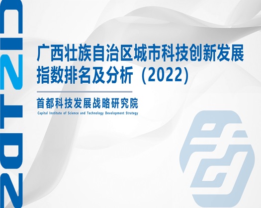 国产操骚逼导航【成果发布】广西壮族自治区城市科技创新发展指数排名及分析（2022）